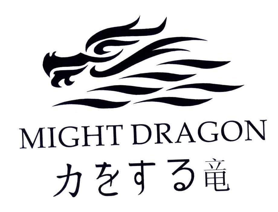 MIGHT DRAGON