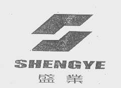 盛业