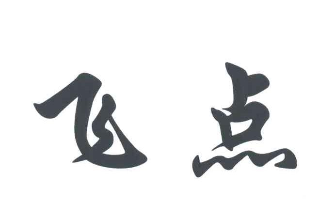 飞点