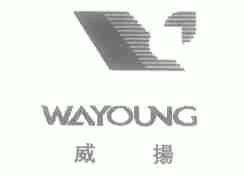 威扬;WAYOUNG