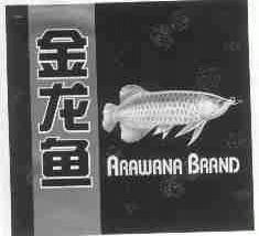 金龙鱼;ARAWANA