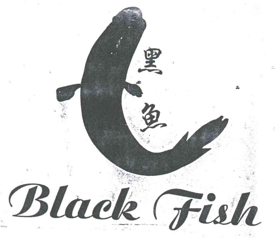黑鱼BLACK FISH