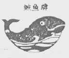 鲸鱼