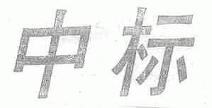 中标