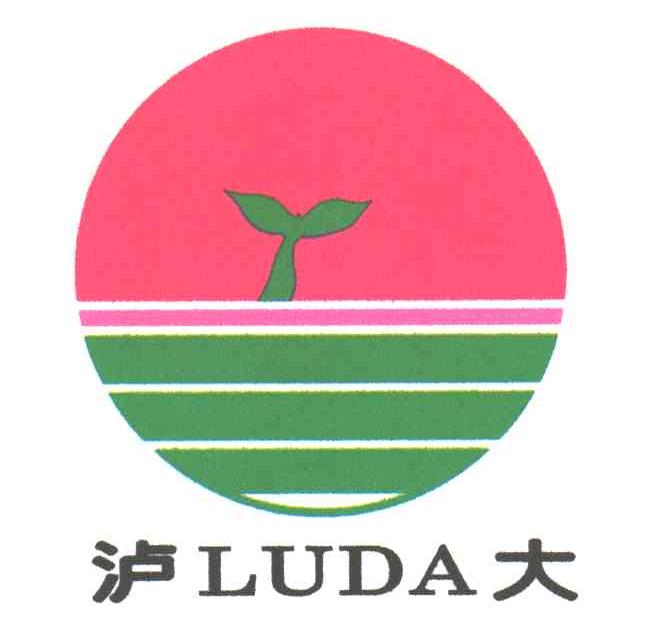 泸大