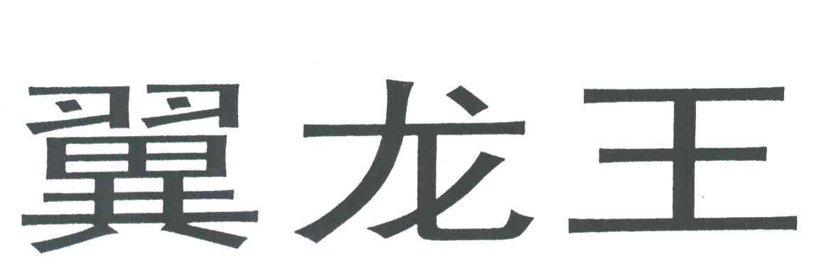 翼龙王