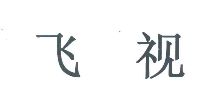 飞视