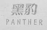 黑豹    PANTHER