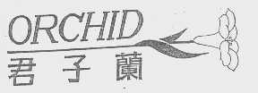 君子兰   ORCHID