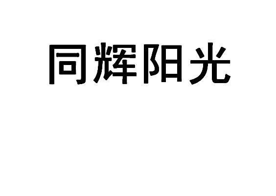 同辉阳光