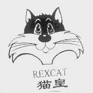 猫皇   REXCAT