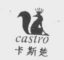 卡斯楚   CASTRO