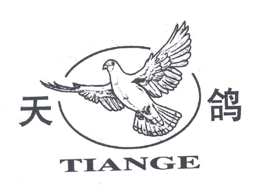 天鸽