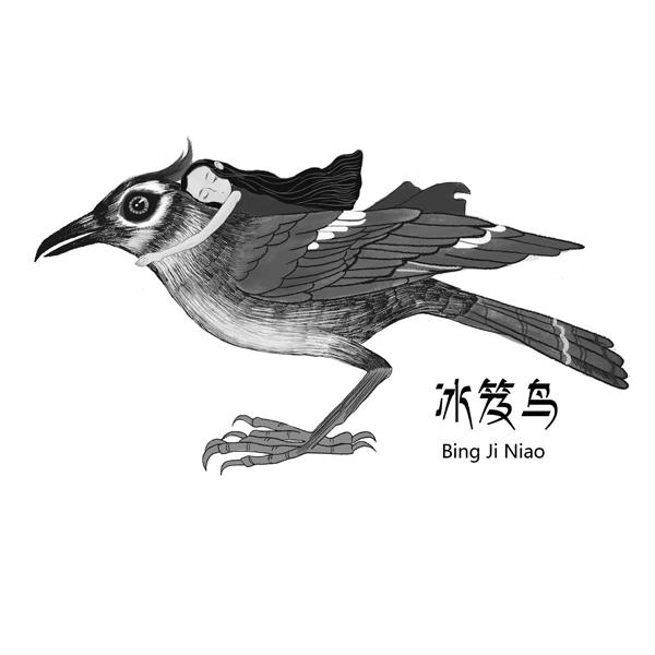 冰笈鸟