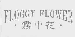 雾中花   FLOGGY FLOWER