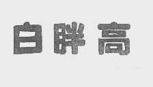 白胖高