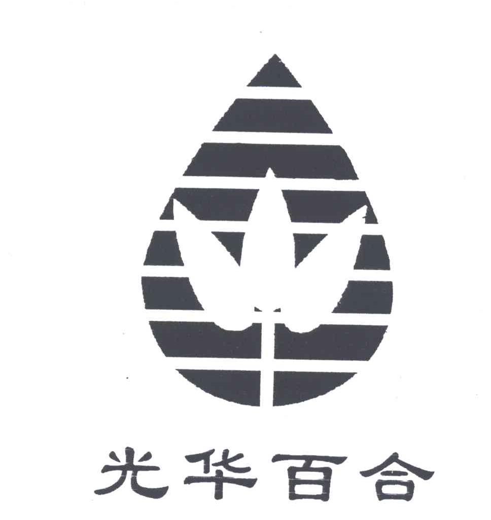 光华百合