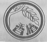 香椿