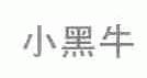 小黑牛