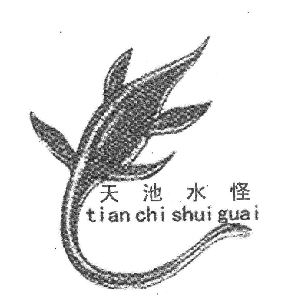 天池水怪