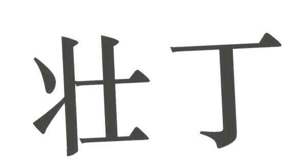 壮丁