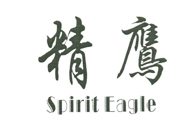 精鹰;SPIRIT EAGLE