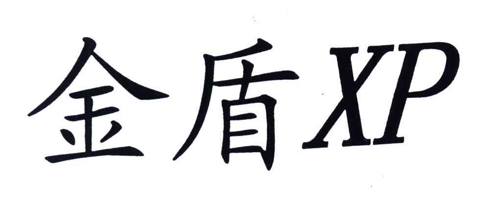 金盾XP