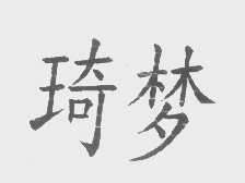 琦梦