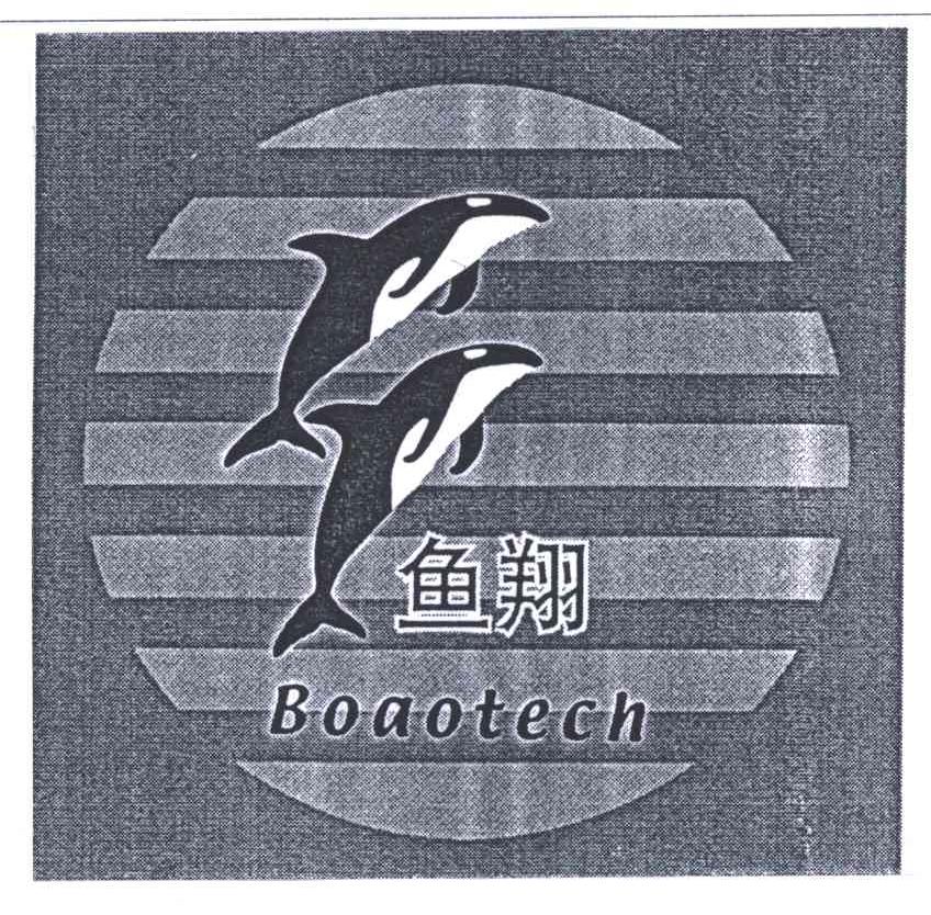 鱼翔