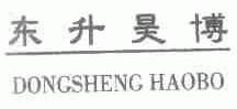 东升昊博