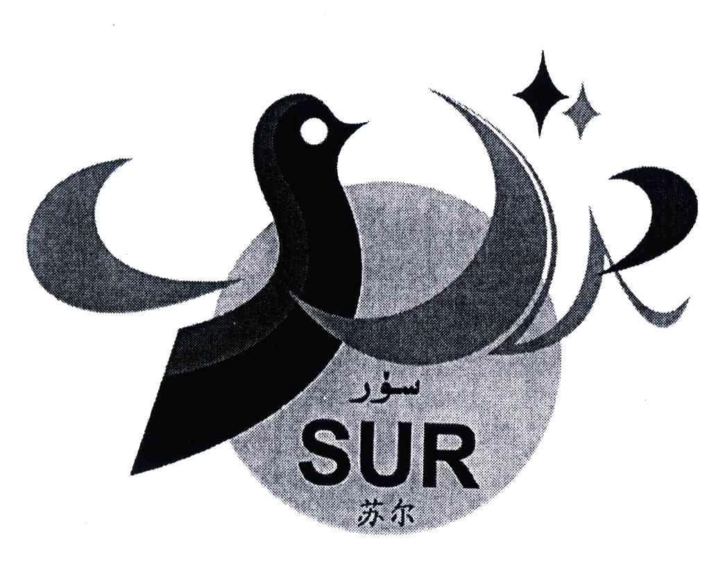 苏尔;SUR