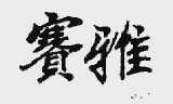 赛雅