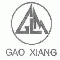 GAO XIANG;GLM