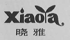 晓雅