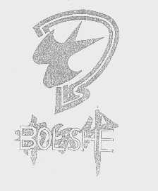 布尔什   BOLSHE