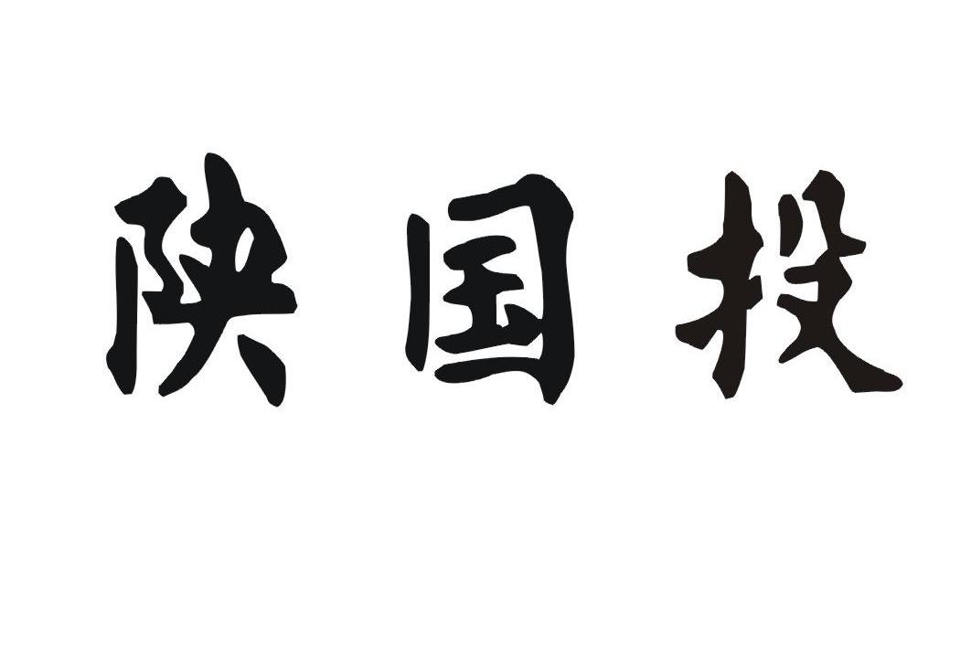 陕国投