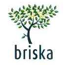 BRISKA