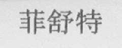 菲舒特