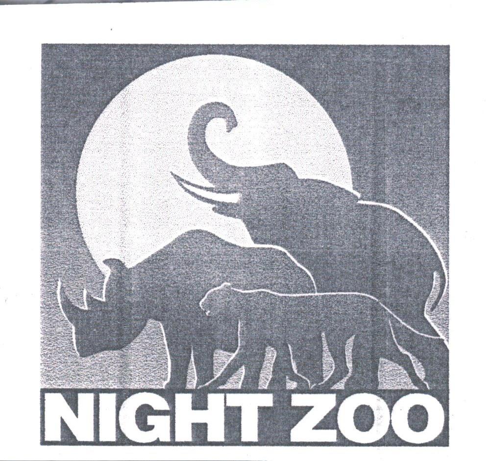 NIGHT ZOO