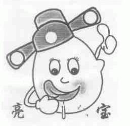 亮宝