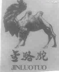 金骆驼