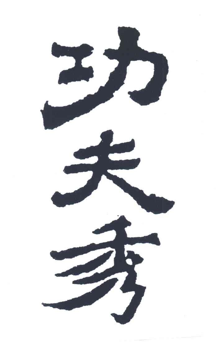 功夫秀