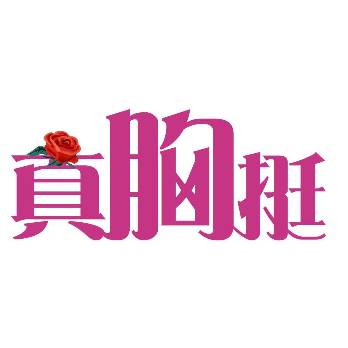 真胸挺