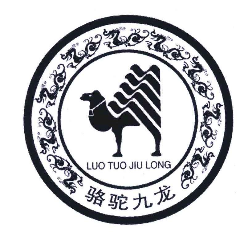 骆驼九龙
