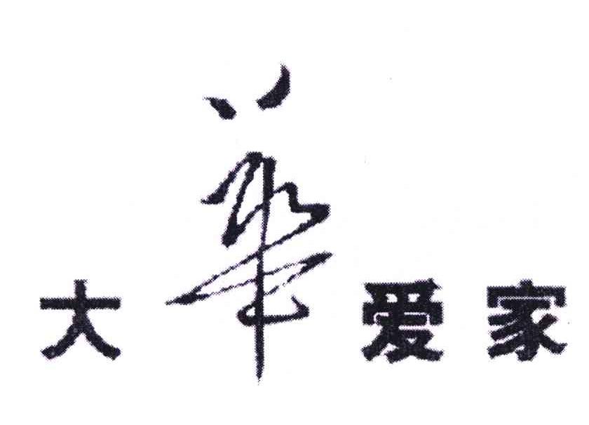 大华爱家