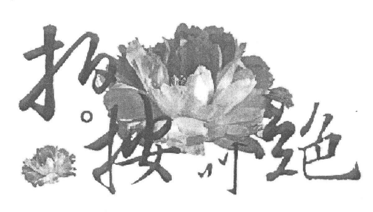 拍按叫绝