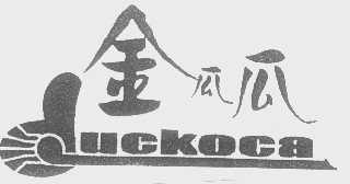 金瓜瓜   DUCKOCA