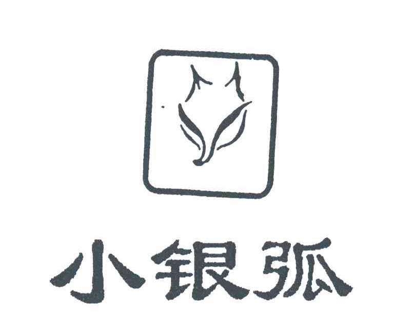小银弧