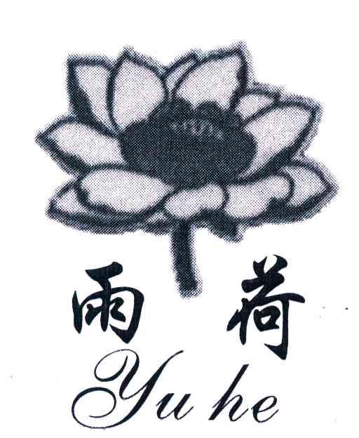 雨荷