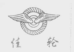 佳轮